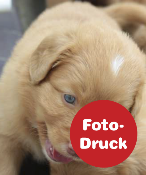 Fotodruck